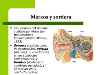 Mareos y sordera
 Las lesiones del sistema
auditivo periférico dan
tres síntomas
fundamentales (Wazen,
1995):
 Sordera (casi siempre,
de conducción), vértigo
(mareos), que se localiza
en los conductos
semicirculares, y
tinnitus (acufenos o
zumbidos de oídos), si
se localiza en el
conducto coclear.
 