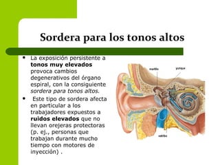 Sordera para los tonos altos
 La exposición persistente a
tonos muy elevados
provoca cambios
degenerativos del órgano
espiral, con la consiguiente
sordera para tonos altos.
 Este tipo de sordera afecta
en particular a los
trabajadores expuestos a
ruidos elevados que no
llevan orejeras protectoras
(p. ej., personas que
trabajan durante mucho
tiempo con motores de
inyección) .
 