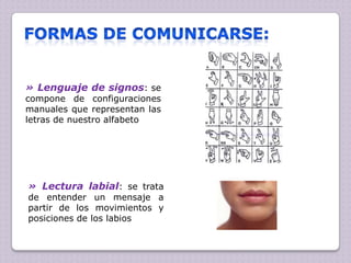 » Lenguaje de signos: se
compone de configuraciones
manuales que representan las
letras de nuestro alfabeto

» Lectura labial: se trata
de entender un mensaje a
partir de los movimientos y
posiciones de los labios

 