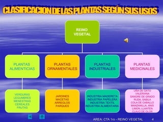 REINO
                            VEGETAL




  PLANTAS         PLANTAS            PLANTAS                PLANTAS
ALIMENTICIAS   ORNAMENTALES       INDUSTRIALES             MEDICINALES




                                                              UÑA DE GATO
  VERDURAS                                                      VALERIANA
                 JARDINES         INDUSTRIA MADERETA       SANGRE DE GRADO
 LEGUMBRES
                  MACETAS          INDUSTRIA PAPELERA         RUDA, SABILA
 MENESTRAS
                 ARREGLOS            INDUSTRIA TEXTIL      COLA DE CABALLO
  CEREALES                                                  MANZANILLA, ANIS
                  PARQUES       INDUSTRIA ALIMENTARIA
   FRUTAS                                                    LIMON, LLANTEN
                                                             CLAVO DE OLOR


                                      AREA: CTA 1ro - REINO VEGETAL       4
 
