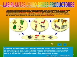       Una de las relaciones más importantes entre los seres vivos surge de la necesidad de alimentarse para
      reponer energía y poder realizar distintas actividades. Las plantas producen su propio alimento. Los
      animales pueden ser herbívoros, carnívoros u omnívoros. Las bacterias y hongos descomponen los
      deshechos de plantas y animales, reduciéndolos a elementos simples que, nuevamente son utilizados
      por las plantas como alimento. De esta forma se cierra la cadena alimentaria.
      .




    Cadenas Alimenticias En el mundo de seres vivos, cada forma de vida
    es alimento para otra. Las cadenas y redes alimenticias nos muestran
    como el alimento y la energía pasan de una especie a otra.
                                                                                                               5
                                                                      AREA: CTA 1ro - REINO VEGETAL
 