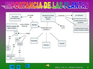 AREA: CTA 1ro - REINO VEGETAL   8
 