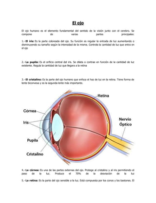 El ojo
El ojo humano es el elemento fundamental del sentido de la visión junto con el cerebro. Se
compone               de             varias               partes                principales:

1.- El iris: Es la parte coloreada del ojo. Su función es regular la entrada de luz aumentando o
disminuyendo su tamaño según la intensidad de la misma. Controla la cantidad de luz que entra en
el ojo




2.- La pupila: Es el orificio central del iris. Se dilata o contrae en función de la cantidad de luz
existente. Regula la cantidad de luz que llegara a la retina




3.- El cristalino: Es la parte del ojo humano que enfoca el haz de luz en la retina. Tiene forma de
lente biconvexa y es la segunda lente más importante.




4.- La córnea: Es una de las partes externas del ojo. Protege al cristalino y al iris permitiendo el
paso    de    la    luz.   Produce      el   70%       de    la     desviación       de    la    luz

5.- La retina: Es la parte del ojo sensible a la luz. Está compuesta por los conos y los bastones. El
 