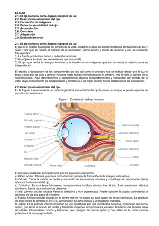 EL OJO
2.1. El ojo humano como órgano receptor de luz
2.2. Descripción estructural del ojo
2.3. Formación de imágenes
2.4. Curva de sensibilidad del ojo
2.5. Acomodación
2.6. Contraste
2.7. Adaptación
2.8. Deslumbramiento

2.1. El ojo humano como órgano receptor de luz
El ojo es el órgano fisiológico del sentido de la vista, mediante el cual se experimentan las sensaciones de luz y
color. Para que se realice el proceso de la iluminación, como acción y efecto de iluminar y ver, se requieren
tres agentes:
1) La fuente productora de luz o radiación luminosa.
2) Un objeto a iluminar que necesitamos que sea visible.
3) El ojo, que recibe la energía luminosa y la transforma en imágenes que son enviadas al cerebro para su
interpretación.

El estudio y descripción de los componentes del ojo, así como el proceso que se realiza desde que la luz le
llega y pasa por las vías y centros visuales hasta que es interpretada por el cerebro, nos llevaría al campo de la
neurofisiología. Aquí describiremos y expondremos algunos comportamientos y conceptos del sentido de la
vista, cuyo conocimiento es indispensable y contribuye a un mejor diseño de las instalaciones de iluminación.

2.2. Descripción estructural del ojo
En la Figura 1 se representa un corte longitudinal esquemático del ojo humano, en el que se puede apreciar su
constitución anatómica.

                                      Figura 1. Constitución del ojo humano.




El ojo está constituido principalmente por los siguientes elementos:
a) Globo ocular: Cámara que tiene como función principal la formación de la imagen en la retina.
b) Córnea: Tiene la misión de recibir y transmitir las impresiones visuales y constituye el componente óptico
refractor fundamental del ojo.
c) Cristalino: Es una lente biconvexa, transparente e incolora situada tras el iris. Esta membrana elástica
cambia su forma para enfocar los objetivos.
d) Iris: Lámina circular situada frente al cristalino y muy pigmentada. Puede contraer la pupila controlando la
cantidad de luz que pasa al cristalino.
e) Pupila: Orificio circular situado en el centro del iris y a través del cual pasan los rayos luminosos. La abertura
de este orificio la controla el iris y su constricción se llama miosis y la dilatación midriasis.
f) Retina: Es la película interna posterior del ojo constituida por una membrana nerviosa, expansión del nervio
óptico, que tiene la función de recibir y transmitir imágenes o impresiones visuales. Contiene una finísima capa
de células fotosensibles, conos y bastones, que divergen del nervio óptico y que están en la parte externa
próximas a la capa pigmentada.
 