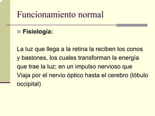 Funcionamiento normal
  Fisiología:

La luz que llega a la retina la reciben los conos
y bastones, los cuales transforman la energía
que trae la luz; en un impulso nervioso que
Viaja por el nervio óptico hasta el cerebro (lóbulo
occipital)
 