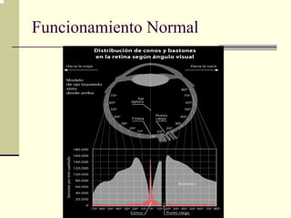 Funcionamiento Normal
 