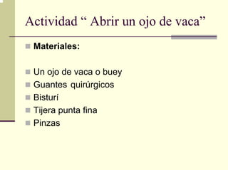 Actividad “ Abrir un ojo de vaca”
 Materiales:

 Un ojo de vaca o buey
 Guantes quirúrgicos
 Bisturí
 Tijera punta fina
 Pinzas
 