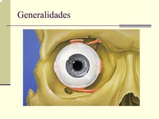 Generalidades
 