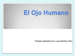 El Ojo Humano Trabajo realizado por: Laura Muñoz Vilor. 