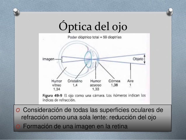 El ojo i optica de la vision