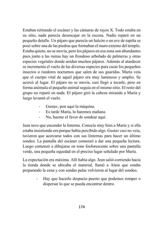 174
Estaban retirando el escáner y las cámaras de rayos X. Todo estaba en
su sitio, nada parecía desencajar en la escena. Nadie reparó en un
pequeño detalle. Un pájaro que parecía un halcón o un ave de rapiña se
posó sobre una de las piedras que formaban el muro externo del templo.
Estaba quieto, no se movía, pero los pájaros en esa zona son abundantes
pues junto a las ruinas hay un frondoso arbolado de palmeras y otras
especies vegetales donde anidan muchos pájaros. Además al atardecer
se incrementa el vuelo de las diversas especies para cazar los pequeños
insectos o roedores nocturnos que salen de sus guaridas. María veía
que el cuerpo vital de aquel pájaro era muy luminoso y amplio. Se
acercó al lugar. El pájaro no se movía, casi llegó a tocarle, pero en
forma anómala el pequeño animal seguía en el mismo sitio. El resto del
grupo no reparó en nada. El pájaro giró la cabeza mirando a María y
luego levantó el vuelo.
- Gustav, pon aquí la máquina.
- Es tarde María, lo haremos mañana.
- No, hazme el favor de sondear aquí.
Jean tuvo que encender la linterna. Conocía muy bien a María y si ella
estaba insistiendo era porque había percibido algo. Gustav casi no veía,
tuvieron que acercarse todos con sus linternas para hacer un último
sondeo. La pantalla del escáner comenzó a dar una pequeña lectura.
Luego comenzó a dibujarse en tono fosforescente sobre una pantalla
verde, una pequeña oquedad en el preciso lugar señalado por María.
La expectación era máxima. Allí había algo. Jean salió corriendo hacia
la tienda donde se ubicaba el material, llamó a Alain que estaba
preparando la cena y con sendas palas volvieron al lugar del sondeo.
- Hay que hacerlo despacio puesto que podemos romper o
dispersar lo que se pueda encontrar dentro.
 