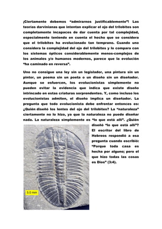 ¡Ciertamente    debemos     “admirarnos     justificablemente”!    Las
teorías darvinianas que intentan explicar el ojo del trilobites son
completamente incapaces de dar cuenta por tal complejidad,
especialmente teniendo en cuenta el hecho que se considera
que el trilobites ha evolucionado tan temprano. Cuando uno
considera la complejidad del ojo del trilobites y lo compara con
los sistemas ópticos considerablemente menos-complejos de
los animales y/o humanos modernos, parece que la evolución
“ha caminado en reversa”.

Uno no consigue una ley sin un legislador, una pintura sin un
pintor, un poema sin un poeta o un diseño sin un diseñador.
Aunque   se    esfuercen,   los   evolucionistas    simplemente    no
pueden evitar la evidencia que indica que existe diseño
intrincado en estas criaturas sorprendentes. Y, como incluso los
evolucionistas admiten, el diseño implica un diseñador. La
pregunta que todo evolucionista debe enfrentar entonces es:
¿Quién diseñó los lentes del ojo del trilobites? La “naturaleza”
ciertamente no lo hizo, ya que la naturaleza no puede diseñar
nada. La naturaleza simplemente es “lo que está allí”. ¿Quién
                                          diseñó “lo que está allí”?
                                          El escritor del libro de
                                          Hebreos respondió a esa
                                          pregunta cuando escribió:
                                          “Porque   toda    casa    es
                                          hecha por alguno; pero el
                                          que hizo todas las cosas
                                          es Dios” (3:4).
 