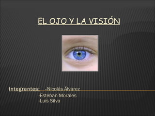EL OJO Y LA VISIÓN Integrantes:   - Nicolás Álvarez   -Esteban Morales   -Luís Silva 