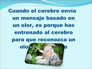 Cuando el cerebro envía un mensaje basado en un olor, es porque has entrenado al cerebro para que reconozca un olor determinado