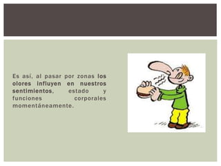 Es así, al pasar por zonas los
olores influyen en nuestros
sentimientos, estado y
funciones corporales
momentáneamente.
 