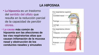 LA HIPOSNIA
• La hiposmia es un trastorno
del sentido del olfato que
resulta en la reducción parcial
de la capacidad de percibir
olores.
• La causa más común de
hiposmia son las afecciones de
las vías respiratorias altas que
causan inflamación de la mucosa
nasal y obstrucción de los
conductos nasales y sinusales
 