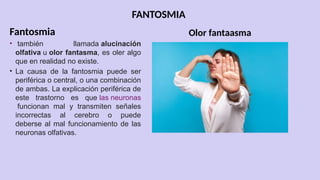 FANTOSMIA
Fantosmia
• también llamada alucinación
olfativa u olor fantasma, es oler algo
que en realidad no existe.
• La causa de la fantosmia puede ser
periférica o central, o una combinación
de ambas. La explicación periférica de
este trastorno es que las neuronas
funcionan mal y transmiten señales
incorrectas al cerebro o puede
deberse al mal funcionamiento de las
neuronas olfativas.
Olor fantaasma
 