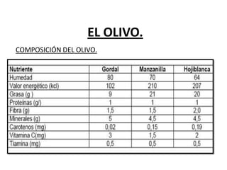 EL OLIVO.
COMPOSICIÓN DEL OLIVO.
 