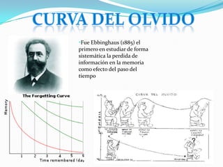 •Fue Ebbinghaus (1885) el
primero en estudiar de forma
sistemática la perdida de
información en la memoria
como efecto del paso del
tiempo
 