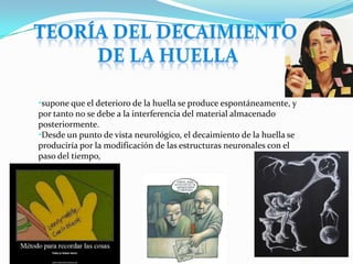 •supone que el deterioro de la huella se produce espontáneamente, y
por tanto no se debe a la interferencia del material almacenado
posteriormente.
•Desde un punto de vista neurológico, el decaimiento de la huella se
produciría por la modificación de las estructuras neuronales con el
paso del tiempo,
 