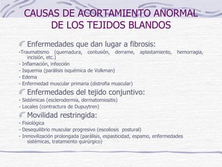 CAUSAS DE ACORTAMIENTO ANORMAL DE LOS TEJIDOS BLANDOS Enfermedades que dan lugar a fibrosis: -Traumatismo (quemadura, contusión, derrame, aplastamiento, hemorragia, incisión, etc.) - Inflamación, infección - Isquemia (parálisis isquémica de Volkman) - Edema - Enfermedad muscular primaria (distrofia muscular) Enfermedades del tejido conjuntivo: - Sistémicas (esclerodermia, dermatomiositis) - Locales (contractura de Dupuytren) Movilidad restringida: - Fisiológica  - Desequilibrio muscular progresivo (escoliosis  postural) - Inmovilización prolongada (parálisis, espasticidad, espamo, enfermedades sistémicas, tratamiento quirúrgico) 