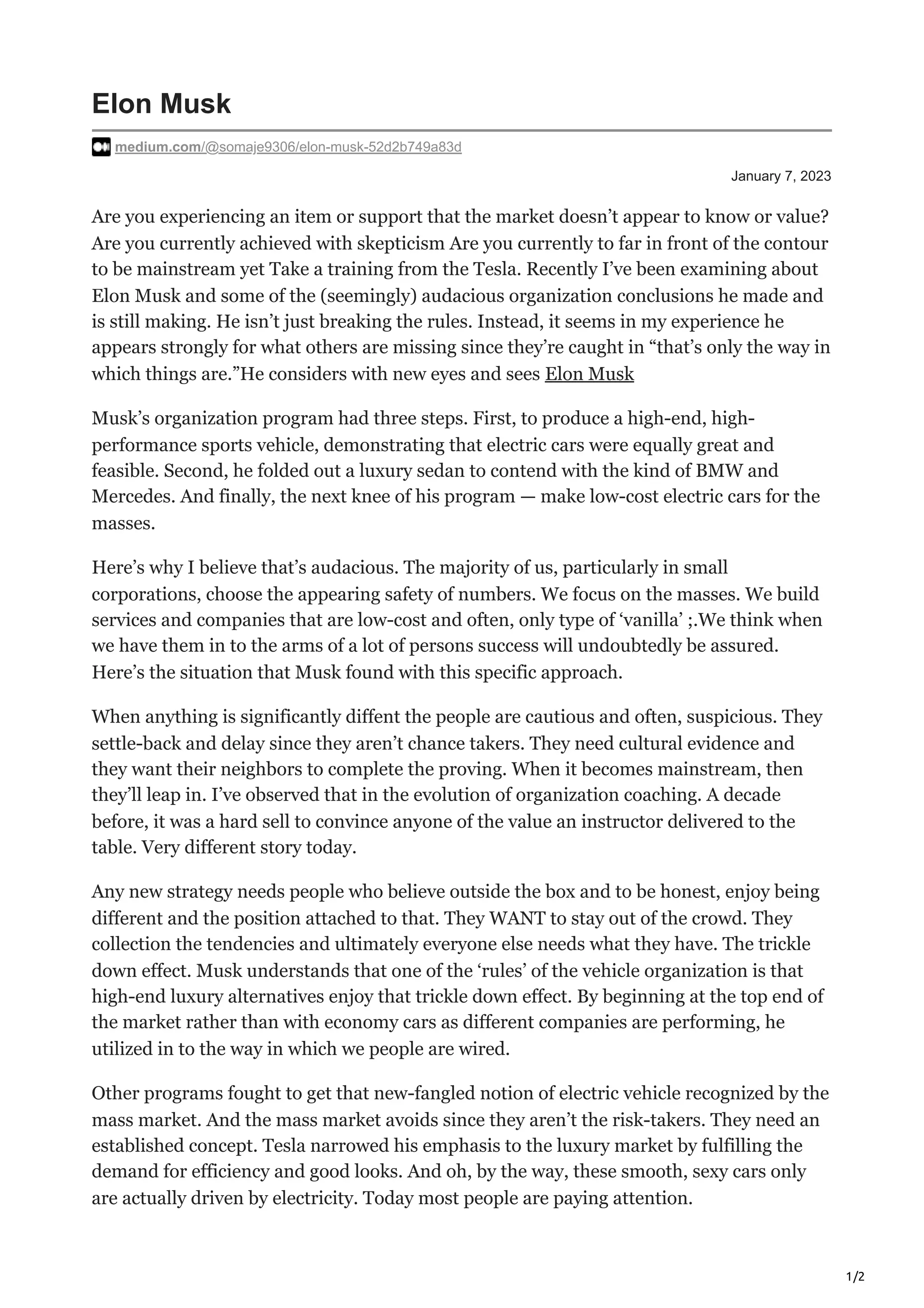 Elon Musk | PDF