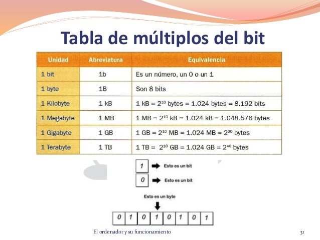 El ordenador y su funcionamiento