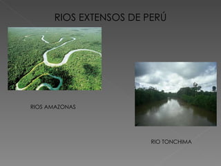 RIOS EXTENSOS DE PERÚ RIOS AMAZONAS RIO TONCHIMA 