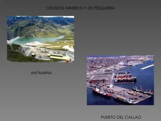 CENTROS MINEROS Y DE PESQUERIA ANTAMINA PUERTO DEL CALLAO 