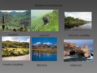 RESERVAS NACIONALES CALIPUY LACHAY PACAYA- SAMIRIA PAMPA GALERAS TITICACA PARACAS 