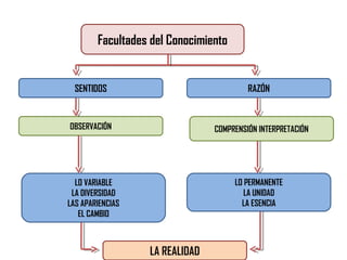 RAZÓN
OBSERVACIÓN
LA REALIDAD
LO PERMANENTE
LA UNIDAD
LA ESENCIA
LO VARIABLE
LA DIVERSIDAD
LAS APARIENCIAS
EL CAMBIO
COMPRENSIÓN INTERPRETACIÓN
Facultades del Conocimiento
SENTIDOS
 