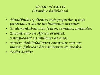 HOMO HABILIS
(Hombre habilidoso)
• Mandíbulas y dientes más pequeños y más
parecidos a los de los humanos actuales.
• Se alimentaban con: frutos, semillas, animales.
• Encontrado en África oriental.
Antigüedad: 2,5 millones de años.
• Mostró habilidad para construir con sus
manos, fabricar herramientas de piedra.
• Podía hablar.

 