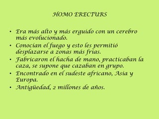 HOMO ERECTURS
• Era más alto y más erguido con un cerebro
más evolucionado.
• Conocían el fuego y esto les permitió
desplazarse a zonas más frías.
• Fabricaron el hacha de mano, practicaban la
caza, se supone que cazaban en grupo.
• Encontrado en el sudeste africano, Asia y
Europa.
• Antigüedad, 2 millones de años.

 