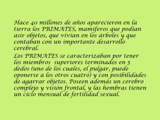 Hace 40 millones de años aparecieron en la
tierra los PRIMATES, mamíferos que podían
asir objetos, que vivían en los árboles y que
contaban con un importante desarrollo
cerebral.
Los PRIMATES se caracterizaban por tener
los miembros superiores terminados en 5
dedos (uno de los cuales, el pulgar, puede
oponerse a los otros cuatro) y con posibilidades
de agarrar objetos. Poseen además un cerebro
complejo y visión frontal, y las hembras tienen
un ciclo mensual de fertilidad sexual.

 