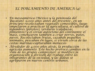 EL POBLAMIENTO DE AMÉRICA (4)
• En mesoamérica (México y la península del
Yucatán) -9.000 años antes del presente-, en un
principio recolectaban vegetales comestibles, luego
empezaron a practicar la agricultura, el cultivo de
legumbres (porotos), verduras (calabazas,
pimientos) y el cereal autóctono del continente: el
maíz, comenzaron también a criar perros, patos,
pavos. Recolectaban frutas, cazaban pequeños
animales, pescaban en lagos, si vivían cerca de las
costas marinas-capturaban moluscos• Alrededor de 4.000 años atrás, la producción
agrícola aumentó. Este hecho provocó cambios en la
vida de los grupos campesinos: se modificó la
organización y división del trabajo entre los
integrantes de la sociedad, y las aldeas se
agruparon en nuevos centros urbanos.

 