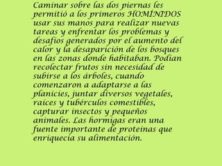 Caminar sobre las dos piernas les
permitió a los primeros HOMÍNIDOS
usar sus manos para realizar nuevas
tareas y enfrentar los problemas y
desafíos generados por el aumento del
calor y la desaparición de los bosques
en las zonas donde habitaban. Podían
recolectar frutos sin necesidad de
subirse a los árboles, cuando
comenzaron a adaptarse a las
planicies, juntar diversos vegetales,
raíces y tubérculos comestibles,
capturar insectos y pequeños
animales. Las hormigas eran una
fuente importante de proteínas que
enriquecía su alimentación.

 