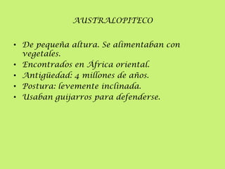 AUSTRALOPITECO
• De pequeña altura. Se alimentaban con
vegetales.
• Encontrados en África oriental.
• Antigüedad: 4 millones de años.
• Postura: levemente inclinada.
• Usaban guijarros para defenderse.

 