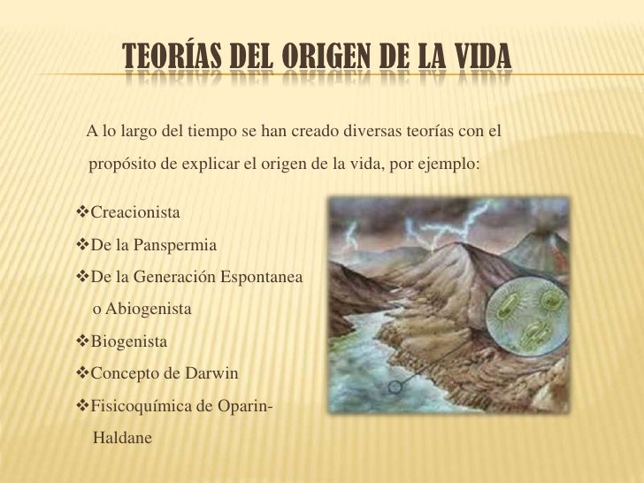 El origen de la vida El origen de la vida