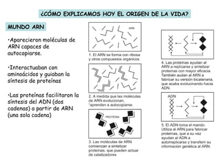 El origen de la vida | PPT
