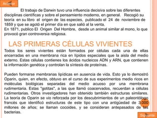 Anterior

El trabajo de Darwin tuvo una influencia decisiva sobre las diferentes
disciplinas científicas y sobre el pensamiento moderno, en general. Recogió su
teoría en su libro el origen de las especies, publicado el 24 de noviembre de
1859 y que se agotó el primer día en que salió al la venta.
En 1871, publico El Origen Del Hombre, desde un animal similar al mono, lo que
provocó gran controversia religiosa.

LAS PRIMERAS CÉLULAS VIVIENTES
Todos los seres vivientes están formados por células cada una de ellas
encerradas en una membrana rica en lípidos especiales que la aisla del medio
externo. Estas células contienes los ácidos nucleicos ADN y ARN, que contienen
la información genética y controlan la síntesis de proteínas.
Pueden formarse membranas lipídicas en ausencia de vida. Esto ya lo demostró
Oparin, quien, en efecto, obtuvo en el curso de sus experimentos medio ricos en
moléculas biológicas separadas del medio acuoso por una membrana
rudimentaria. Estas "gotitas", a las que llamó coacervados, recuerdan a células
rudimentarias. Otros investigadores han obtenido también estructuras similares.
La teoría de Oparin se vio reforzada por los descubrimientos de un paleontólogo
francés que identificó estructuras de este tipo con una antigüedad de 3.000
millones de años; se llaman cocoides, y se consideran antepasados de las
bacterias.

Siguiente

 