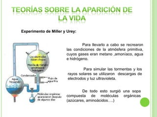 Experimento de Miller y Urey:

Para llevarlo a cabo se recrearon
las condiciones de la atmósfera primitiva,
cuyos gases eran metano ,amoníaco, agua
e hidrógeno.
Para simular las tormentas y los
rayos solares se utilizaron descargas de
electrodos y luz ultravioleta.

De todo esto surgió una sopa
compuesta de moléculas orgánicas
(azúcares, aminoácidos….)

 