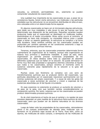 35
vacuolas, su ambición, permeabilidad, etc., solamente se pueden
comprender estudiando los coacervados.
Una cualidad muy importante de los coacervados es que, a pesar de su
consistencia líquida, tienen cierta estructura. Las moléculas y las partículas
coloidales que los estructuran no se encuentran distribuidas en ellos al azar,
sino colocadas entre sí en determinada forma espacial.
En algunos coacervados se logra ver al microscopio algunas estructuras,
pero éstas son muy inestables y sólo duran lo que las fuerzas que han
determinado esa disposición de las partículas. Pequeñas variantes pueden
producirse hasta que el coacervado se desintegre en moléculas sueltas,
disolviéndose en el medio circundante. Otras veces ocurre al contrario, el
coacervado se hace más compacto, su viscosidad interna crece y puede
llegar a tomar un aspecto gelatinoso, la estructura se complica y se torna
más duradera. Estos cambios sufridos por los coacervados pueden ser
producidos por cambios operados en las condiciones exteriores o bajo el
influjo de alteraciones químicas internas.
Tenemos, entonces, que los coacervados presentan determinada forma
rudimentaria de organización de la materia, aunque esta organización es
todavía muy primitiva y totalmente inestable. A pesar de esto, dicha
organización ya permite precisar numerosas propiedades de los
coacervados. En éstos destaca sobre todo su capacidad de absorber
diferentes sustancias que se hallan en la solución. Se puede demostrar en
forma muy fácil esta propiedad si agregamos distintos colorantes al líquido
que rodea a los coacervados, porque veremos al momento cómo la
sustancia colorante pasa rápidamente de la solución a la gota del
coacervado.
Muchas veces ese fenómeno se complica con una serie de
transformaciones químicas que se producen dentro del coacervado. Las
partículas absorbidas por el coacervado reaccionan químicamente con las
mismas sustancias del propio coacervado. Y a causa de esto las gotas del
coacervado a veces aumentan de volumen y crecen a expensas de las
sustancias absorbidas por él del líquido circundante.
En esas ocasiones no solamente se produce un aumento de volumen y
de peso de la gota, sino que también cambia considerablemente su
composición química. Por tanto, notamos que en los coacervados se pueden
producir determinados procesos químicos.
Es de vital importancia el hecho de que el carácter y la rapidez de esos
procesos dependan en gran medida de la estructura físico-química de dicho
coacervado, para que puedan ser de distinta naturaleza en los diversos
coacervados.
Luego de haber visto las propiedades de los coacervados, retrocedamos
ahora a los cuerpos proteinoides de elevado peso molecular que se
formaron en la primitiva capa acuosa de la Tierra. Pues bien, como ya
dijimos, las moléculas de estos cuerpos, a semejanza de las moléculas de
 