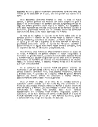 55
depósitos de agua y podían diseminarse ampliamente por tierra firme. Los
reptiles ya no desovaban en el agua, sino que ponían sus huevos en la
tierra.
Hace doscientos veinticinco millones de años, se inició un nuevo
período, el período pérmico. Las filicíneas van siendo desplazadas poco a
poco por los predecesores de las coníferas actuales, surgen las palmeras del
sagú. Los anfibios primitivos ceden lugar a los reptiles, más adaptados al
clima seco. Aparecen los primeros antepasados de los “terribles lagartos” o
dinosaurios, gigantescos reptiles que en períodos posteriores dominaron
sobre la Tierra. Pero aún no habían aparecido aves ni fieras.
El reino de los reptiles se expande por la Tierra, sobre todo en los
períodos jurásico y cretáceo. En ese tiempo hacen su aparición árboles,
flores y hierbas muy parecidos a los actuales. Los reptiles pueblan la Tierra,
las aguas y el aire. Por la superficie de la tierra caminan los terribles y
gigantescos dinosaurios; surcan el espacio los “dragones volantes” o
pteranodontes; en las aguas de los mares nadan animales carniceros, como
las serpientes de mar, los ictiosaurios y los plesiosaurios.
Hace treinta y cinco millones de años comenzó el reino de las aves y de
las fieras. A mediados del período terciario ya habían desaparecido la
mayoría de los grandes reptiles, apareciendo innumerables especies de aves
y de mamíferos, que ocupan una posición superior entre todos los animales.
Sin embargo, los mamíferos de entonces eran muy diferentes a los actuales.
Todavía no existían monos, ni caballos, ni toros, ni los renos ni elefantes
que viven en la actualidad.
En el transcurso de la segunda mitad del período terciario, los
mamíferos se van pareciendo cada vez más a los actuales. A fines de este
período existen ya verdaderos renos, toros, caballos, rinocerontes, elefantes
y diversas fieras. Y a principios de la segunda mitad del período terciario
aparecen los monos: primero los cinocéfalos o monos inferiores,
posteriormente los antropoides o monos superiores.
Hace un millón de años, en el límite de los períodos terciario y
cuaternario (último período, que dura hasta hoy día) aparecieron en la
Tierra los pitecántropos, monos hombres que forman el eslabón intermedio
entre el mono y el hombre. Los pitecántropos ya sabían hacer uso de los
instrumentos de trabajo más sencillos. Estos monos hombres
desaparecieron. Sus sucesores fueron nuestros antepasados. Durante el
cuaternario, en los duros tiempos del último período glacial, en el siglo del
mamut y del reno boreal, ya vivía en la Tierra hombres auténticos, que por
la constitución de su cuerpo eran iguales a los actuales.
 