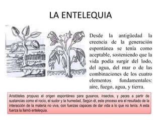 LA ENTELEQUIADesde la antigüedad la creencia de la generación espontánea se tenía como aceptable, sosteniendo que la vida podía surgir del lodo, del agua, del mar o de las combinaciones de los cuatro elementos fundamentales: aire, fuego, agua, y tierra. Aristóteles propuso el origen espontáneo para gusanos, insectos, y peces a partir de sustancias como el rocío, el sudor y la humedad. Según él, este proceso era el resultado de la interacción de la materia no viva, con fuerzas capaces de dar vida a lo que no tenía. A esta fuerza la llamó entelequia.