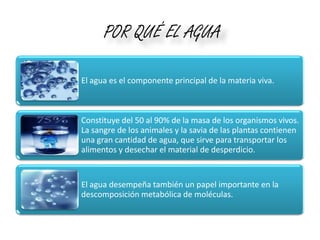 POR QUÉ EL AGUA