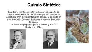 Quimio Sintética
Esta teoría mantiene que la viada apareció, a partir de
materia inerte, en un momento en el que las condiciones
de la tierra eran muy distintas a las actuales y se divide en
tres: Evolución Química, Evolución Prebiótica, Evolución
Biológica.
La teoría fue propuesta por A. I. Oparin y J. B. S.
Haldane en 1924.
 