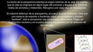 La teoría de la panspermia plantea el origen cósmico de la vida. Es posible
que la vida se originara en algún lugar del universo y llegase a la Tierra en
restos de cometas y meteoritos. Recupera una vieja idea de Anaxágoras.
El máximo defensor de la panspermia, el sueco Svante Arrhenius, cree que
una especie de esporas o bacterias viajan por el espacio y pueden
"sembrar" vida si encuentran las condiciones adecuadas. Viajan en
fragmentos rocosos y en el polvo estelar, impulsadas por la radiación de
las estrellas.
 
