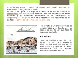 En estos casos se forma algo así como un amontonamiento de moléculas
en determinados lugares de la mezcla.
Por eso a las gotas que aquí se forman se les dio el nombre de
coacervados (del latín acervus, montón). han sido estudiadas en forma
detallada y se continúan estudiando en los laboratorios de
Bungenberg, de Jong y de Kruit, en el laboratorio de bioquímica de las
plantas de la Universidad de Moscú y en varios otros.
Al someter a un análisis químico los
coacervados y el líquido que los
rodea, se puede ver que toda la
sustancia coloidal .
por ejemplo:
toda la gelatina y toda la goma
arábiga del caso que acabamos de
citar, se ha concentrado en los
coacervados y que en el medio
circundante
casi
no
quedan
moléculas de esta sustancia.

 