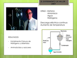 EL EXPERIMENTO DE MILLER UREY
Utilizó : Metano
Amoniaco
Agua
Hidrógeno
Descarga eléctrica continua
Aumento de temperatura

RESULTADOS
-

Inicialmente Cianuro de
Hidrógeno y aldehídos

-

Aminoácidos y azúcares

 