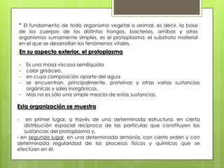 * El fundamento de todo organismo vegetal o animal, es decir, la base
de los cuerpos de los distintos hongos, bacterias, amibas y otros
organismos sumamente simples, es el protoplasma, el substrato material
en el que se desarrollan los fenómenos vitales.

En su aspecto exterior, el protoplasma
-

Es una masa viscosa semilíquida
color grisáceo,
en cuya composición aparte del agua
se encuentran, principalmente, proteínas y otras varias sustancias
orgánicas y sales inorgánicas.
Mas no es sólo una simple mezcla de estas sustancias.

Esta organización se muestra
-

en primer lugar, a través de una determinada estructura, en cierta
distribución espacial recíproca de las partículas que constituyen las
sustancias del protoplasma y,
- en segundo lugar, en una determinada armonía, con cierto orden y con
determinada regularidad de los procesos físicos y químicos que se
efectúan en él.

 